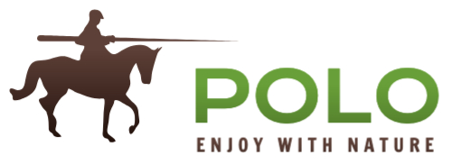 Logo for Sporting Goods Company